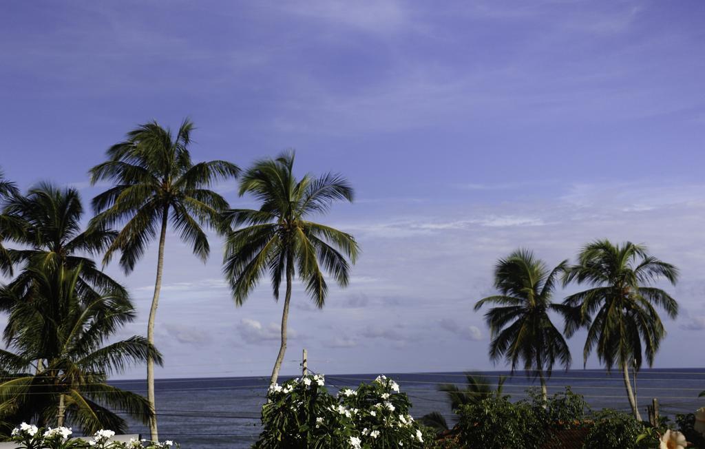 Ananda Home Stay And Restaurant Tangalle Extérieur photo