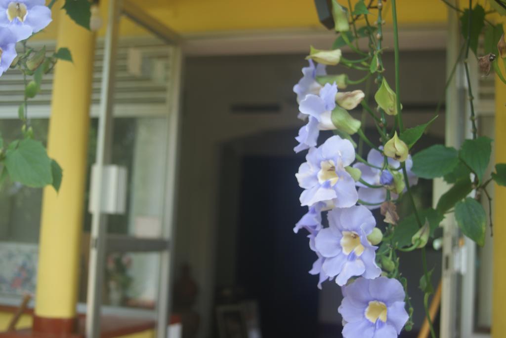 Ananda Home Stay And Restaurant Tangalle Extérieur photo