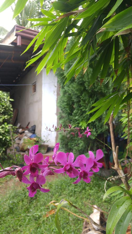 Ananda Home Stay And Restaurant Tangalle Extérieur photo