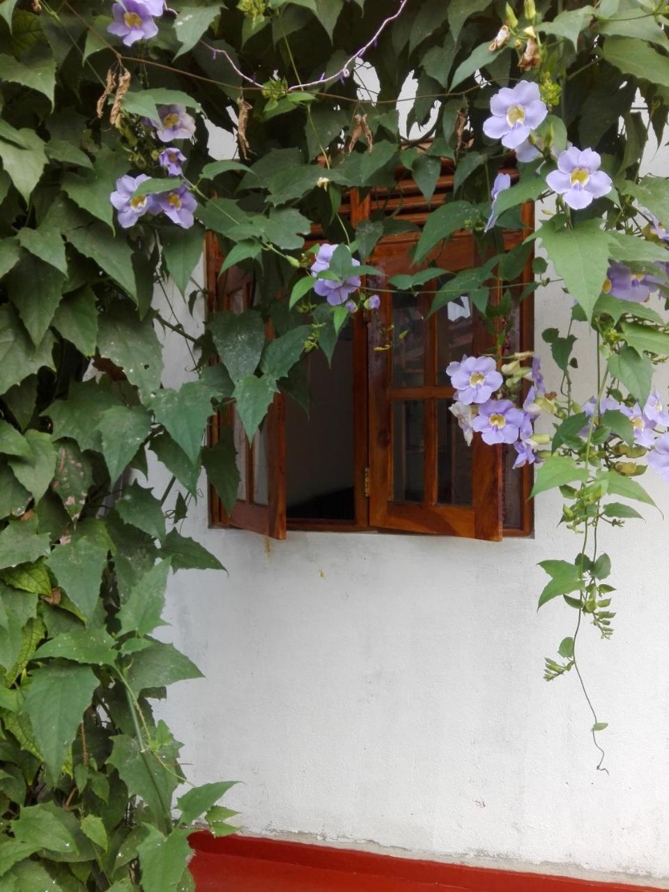 Ananda Home Stay And Restaurant Tangalle Extérieur photo